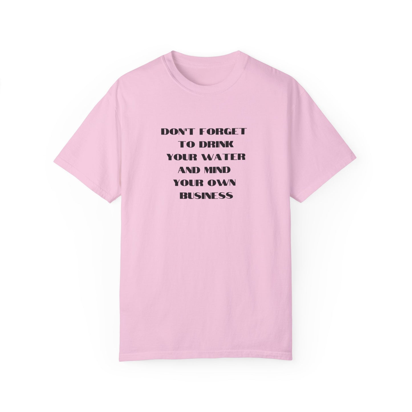 Don't forget to drink your water and mind your own business Unisex Garment-Dyed T-shirt