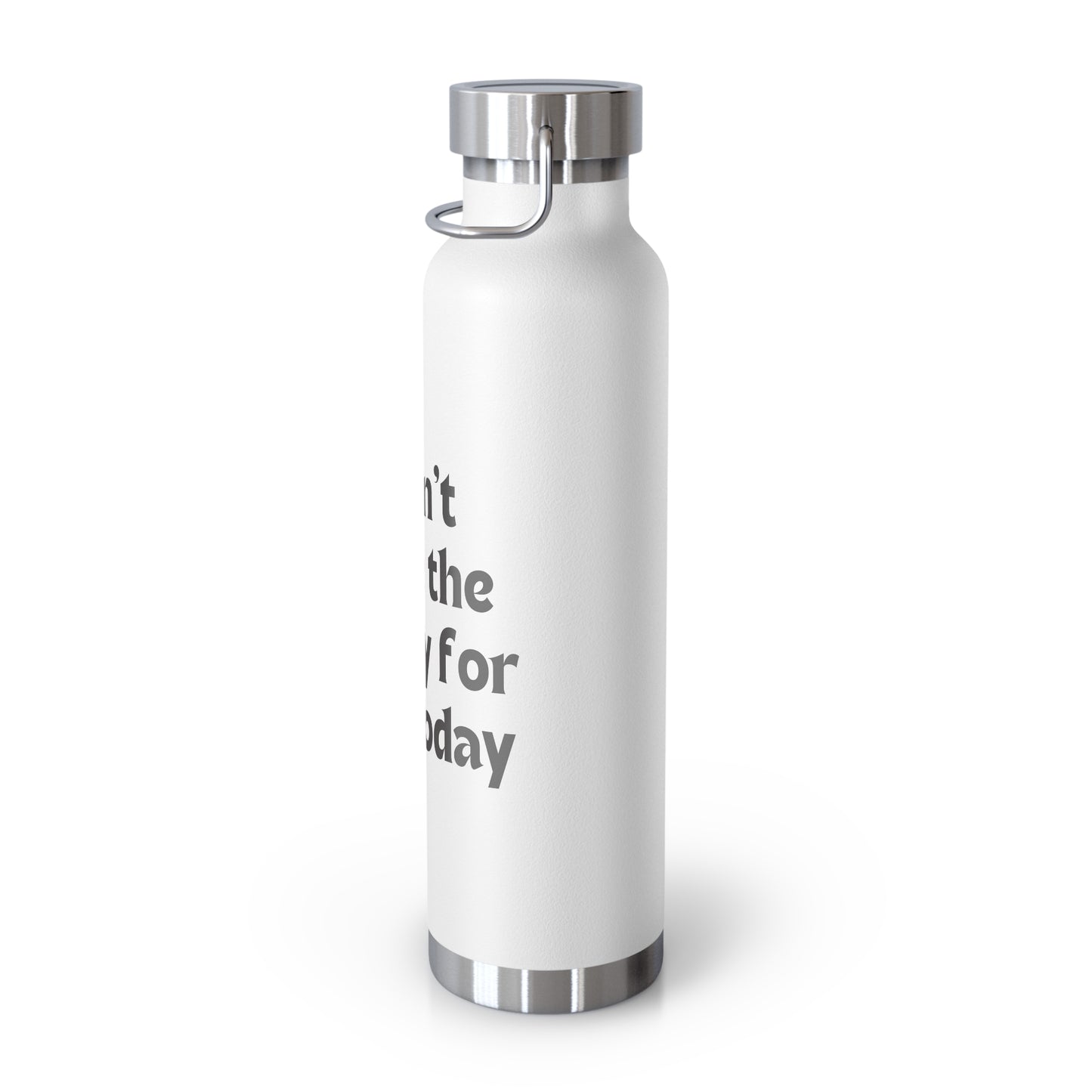 I don't have the energy for you today Copper Vacuum Insulated Bottle, 22oz