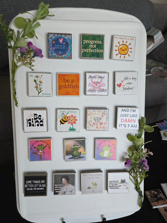 Inspirational & Funny Handmade Magnets | Positive Quote Fridge Magnets | Cute Frog, Bee & Sarcastic Decor Gifts | Motivational Magnet Collection