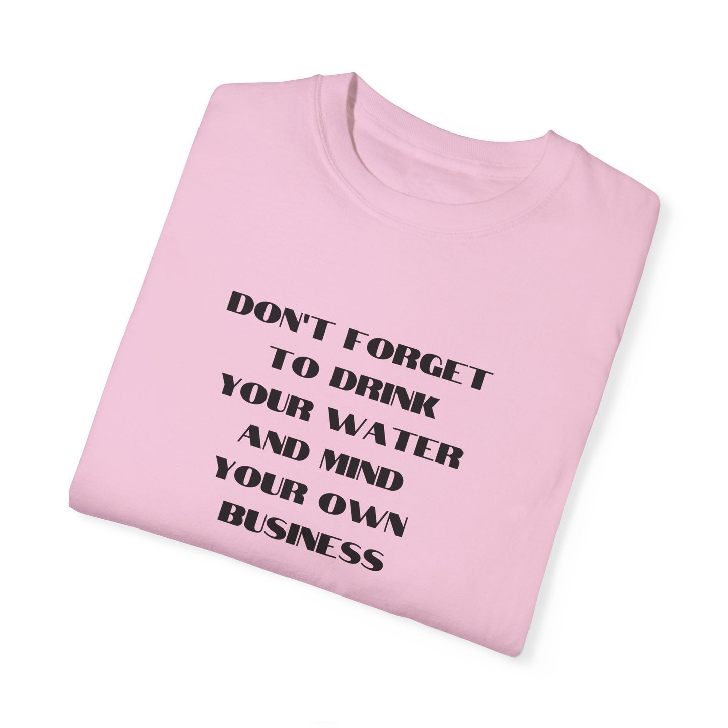 Don't forget to drink your water and mind your own business Unisex Garment-Dyed T-shirt