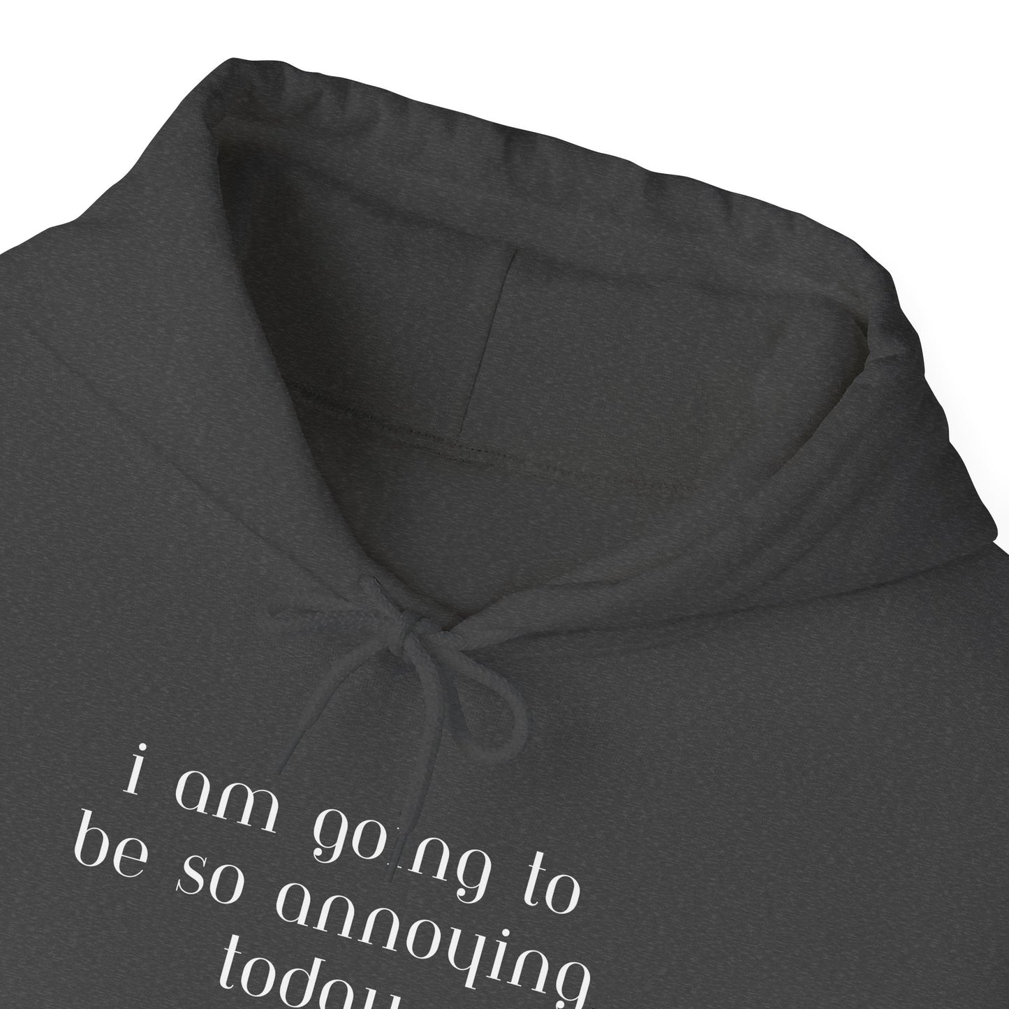 I am going to be so annoying today Unisex Heavy Blend™ Hooded Sweatshirt