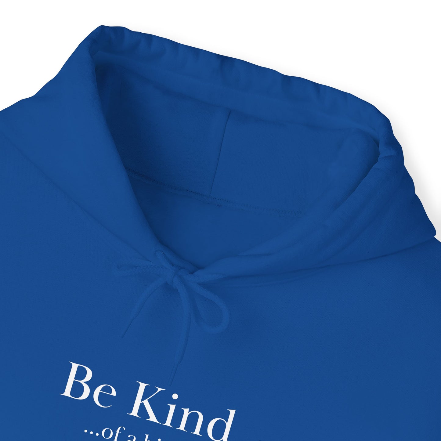 Be Kind ...of a bitch Unisex Heavy Blend™ Hooded Sweatshirt