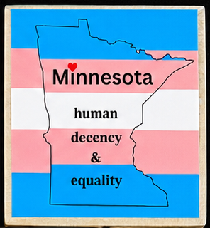 LGBTQ+ Pride Magnets | Handmade Rainbow & Equality Fridge Magnets | Inclusive Minnesota & Ally Decor | Love Wins